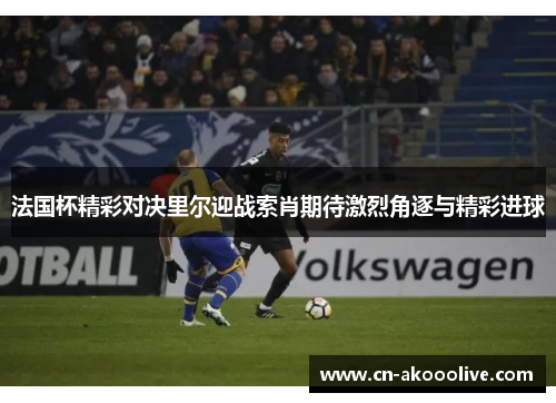 法国杯精彩对决里尔迎战索肖期待激烈角逐与精彩进球